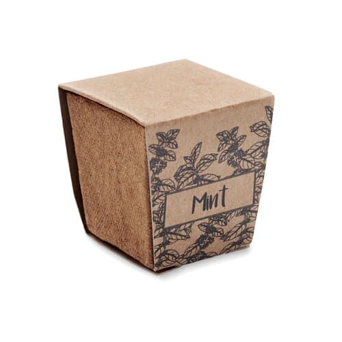 MINT KIT Pflanz-Set Minze