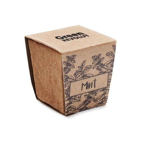 MINT KIT Pflanz-Set Minze