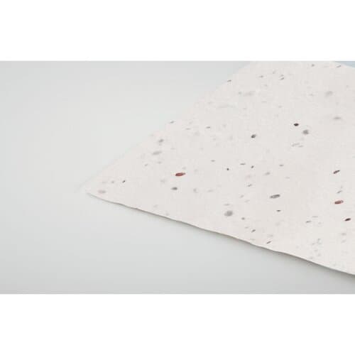 ASIDA Wildblumensamen-Visitenkarte.