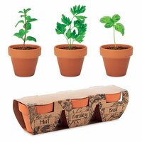 FLOWERPOT TerracottaSet Kräuter