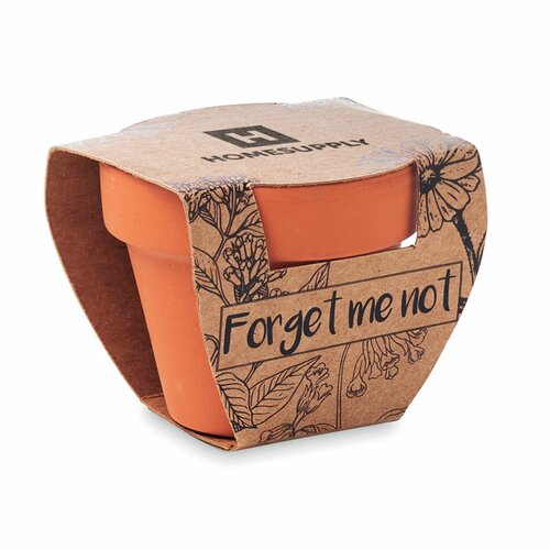 FORGET ME NOT Terracotta-Topf Vergissmeinnich