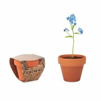 FORGET ME NOT TerracottaTopf Vergissmeinnich