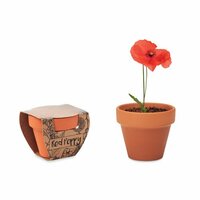 RED POPPY TerracottaTopf Mohnblume