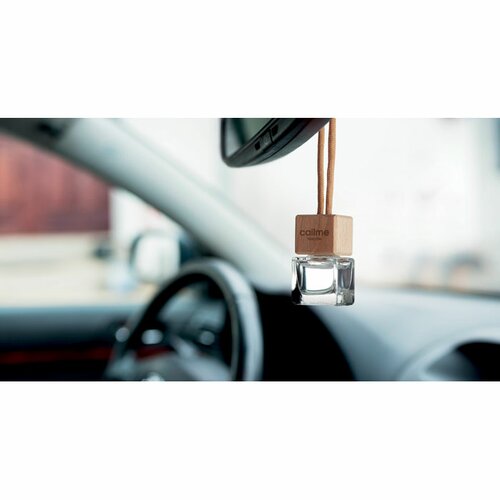 FRESH AIR Auto Aroma Diffusor 5ml