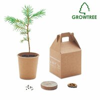 GROWTREE KiefernsamenSet
