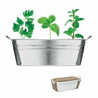 MIX SEEDS ZinkPflanzkübel