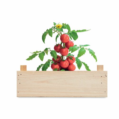 TOMATO Saat-Set Tomate