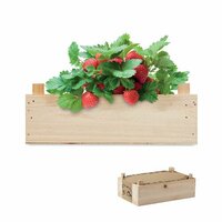 STRAWBERRY SaatSet Erdbeere