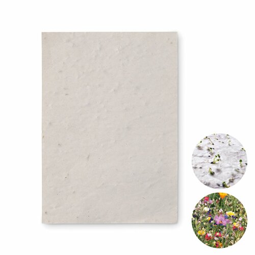 ASIDO DIN A6 Wildblumen-Samenpapier