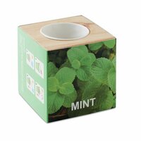 MENTA KräuterpflanzSet Minze