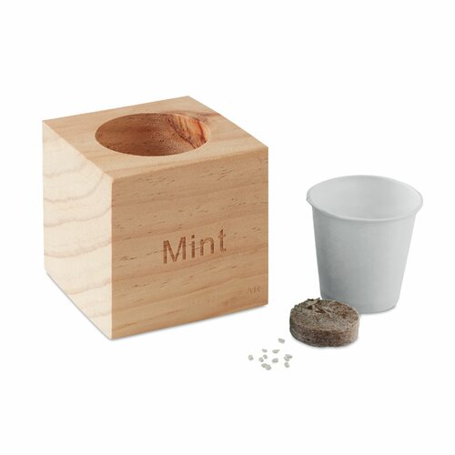 MENTA Kräuterpflanz-Set "Minze''