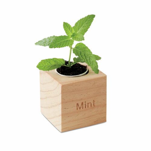 MENTA Kräuterpflanz-Set "Minze''