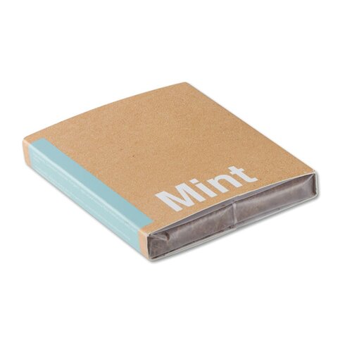 MINT Pflanz-Set "Minze"
