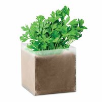 PARSELY PflanzSet Petersilie