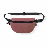 Gürteltasche Parks
