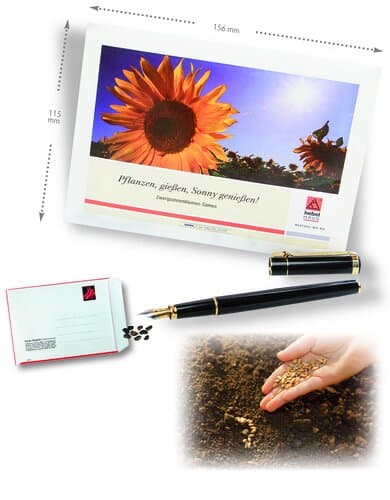 Samen-Briefkarte 115 x 156 mm