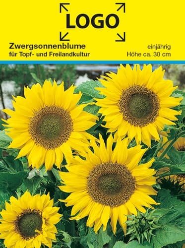 Samentütchen Zwergsonnenblume 82 x 114 mm