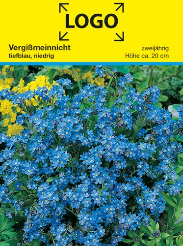 Samentütchen Vergissmeinnicht 82 x 114 mm