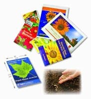 Samentütchen individuelle Gestaltung 82 x 114 mm