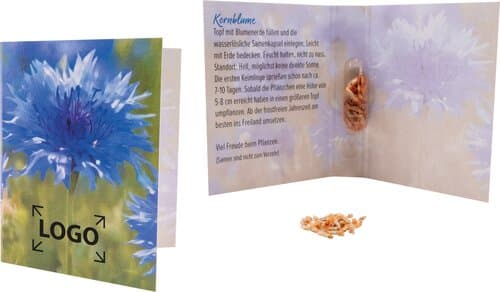 Samenkapsel Blütenpracht