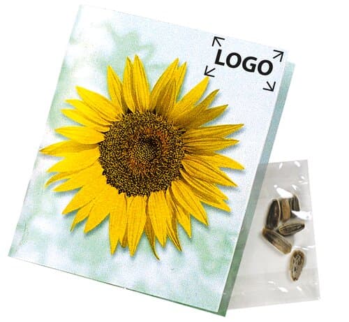 Klappkärtchen Sonne