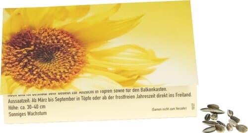 Klappkärtchen Sonne