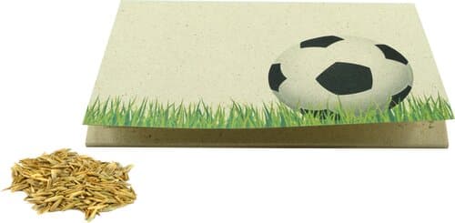 Graspapier-Kärtchen Sportplatz