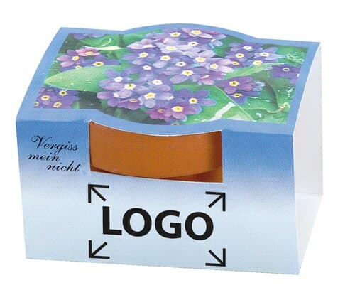 Tontöpfchen Vergiss-mein-nicht