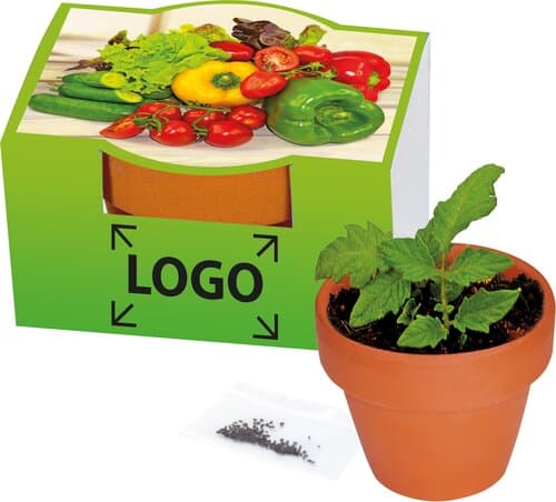 Naschgemüse-Töpfchen Cocktail Tomate