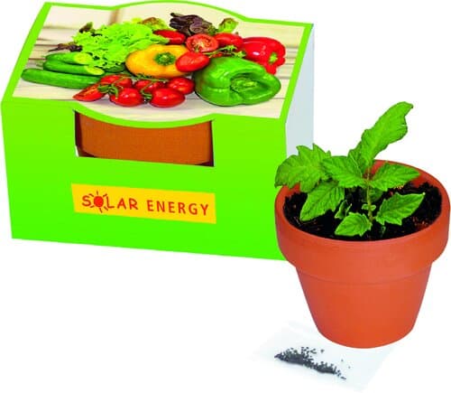 Naschgemüse-Töpfchen Blattsalat-Mix