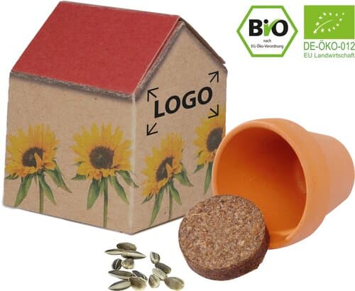 Natur-Häuschen Sonne