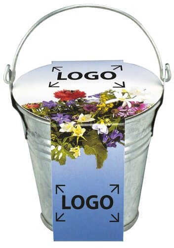 Zinkeimerchen Bunte Blumenmischung