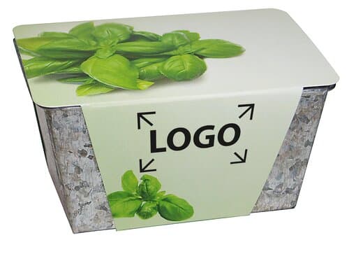 Wachstums-Kästchen Kräuter