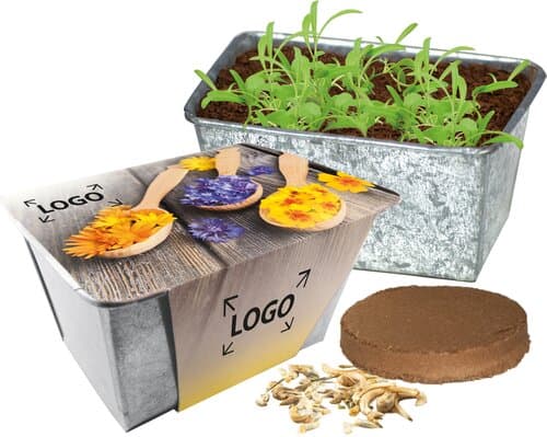 Wachstums-Kästchen Blütengenuss