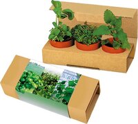 KräuterTrio