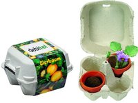EierbaumBox
