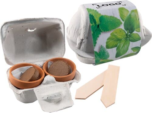 Wachstumsduett Kräuter