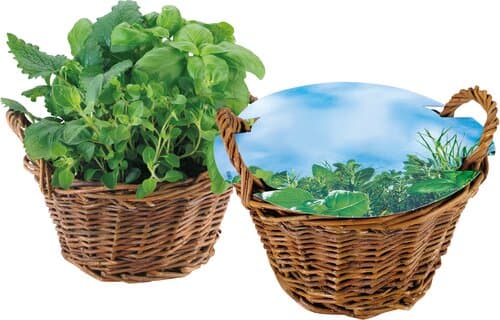 Weiden Körbchen Kräuter