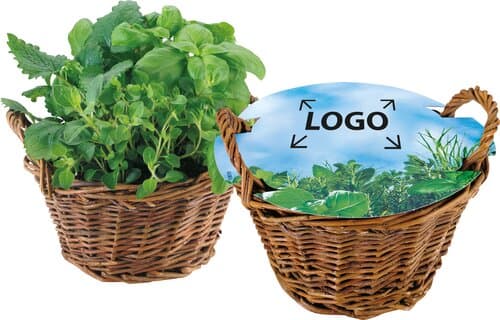 Weiden Körbchen Kräuter