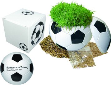 Präsentpackung Fußball