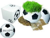 Präsentpackung Fußball