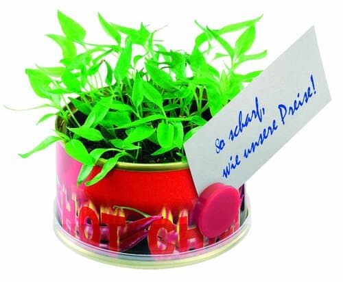 Minigarten Hot mit Magnet