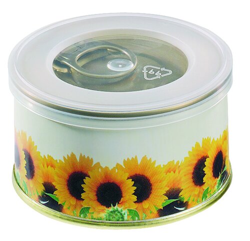 Minigarten Sonne ohne Magnet
