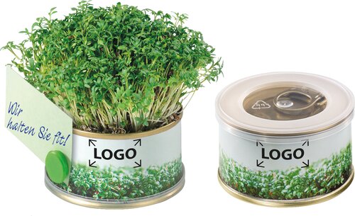 Minigarten Kräuter mit Magnet