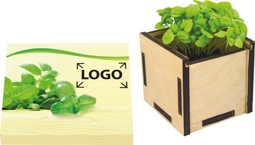 Pflanzsteckbox Green