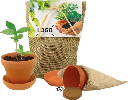 Pflanze Deinen Baum Natur-Säckchen