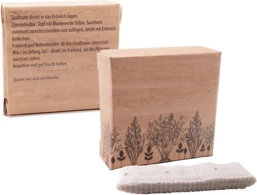 Meterweises Wachstum Rucola