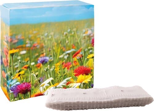 Meterweises Wachstum Blütenmeer