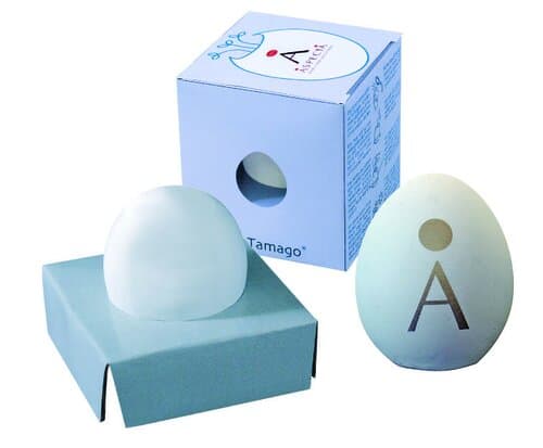 Wachsendes Tamago Ringelblume