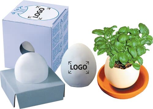 Wachsendes Tamago Kresse